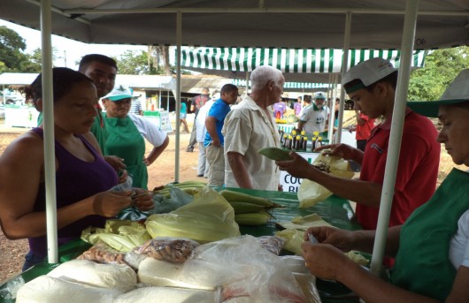 Feira Agroecologica Esperantina Tocantins