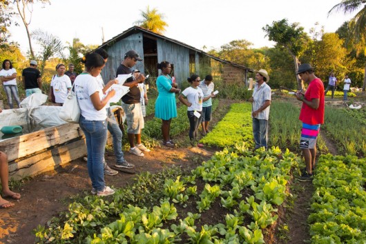 I Encontro Tocantinense de Agroecologia