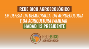 Read more about the article Rede Bico Agroecológico em defesa da democracia, da agroecologia e da agricultura familiar: Haddad 13 Presidente