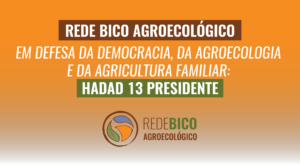 Leia mais sobre o artigo Rede Bico Agroecológico em defesa da democracia, da agroecologia e da agricultura familiar: Haddad 13 Presidente