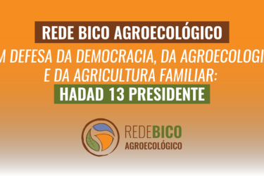Rede Bico Agroecológico em defesa da democracia, da agroecologia e da agricultura familiar: Haddad 13 Presidente