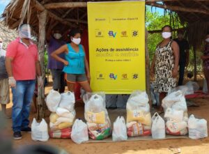 Leia mais sobre o artigo Em meio à pandemia, produção agroecológica vira cestas básicas para alimentar famílias do Tocantins