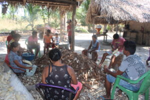 Leia mais sobre o artigo Pesquisa aponta impactos do Coronavírus nas Comunidades Rurais do Bico do Papagaio