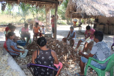 Pesquisa aponta impactos do Coronavírus nas Comunidades Rurais do Bico do Papagaio