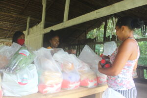 Leia mais sobre o artigo Jovens da comunidade Cento dos Calixtos organiza cestas agroecológicas para entregar as famílias carentes