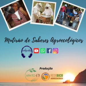 Read more about the article No próximo dia 22 de junho vai ao ar o programa ‘Mutirão de Saberes Agroecológicos’ em áudio
