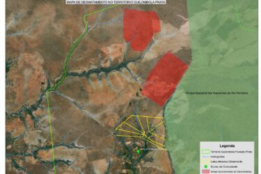 Território quilombola no Jalapão tem área desmatada e COEQTO protocola denúncias de crime ambiental