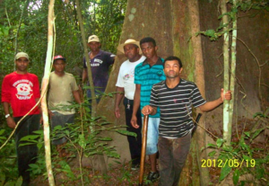Read more about the article Quilombolas da Ilha de São Vicente, em Araguatins (TO), denunciam invasões e desmatamento ilegal dentro da comunidade