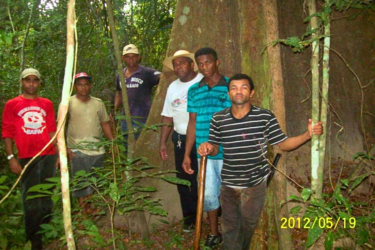 Quilombolas da Ilha de São Vicente, em Araguatins (TO), denunciam invasões e desmatamento ilegal dentro da comunidade