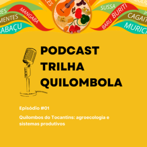 Read more about the article COEQTO Lança O Podcast “Trilha Quilombola” 