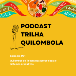 Leia mais sobre o artigo COEQTO Lança O Podcast “Trilha Quilombola” 