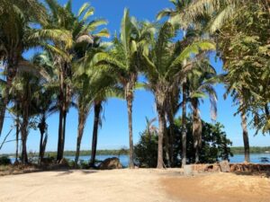 Leia mais sobre o artigo Comunidade quilombola Ilha de São Vicente, em Araguatins (TO), aguarda conclusão de processo de regularização territorial; conheça a história do quilombo