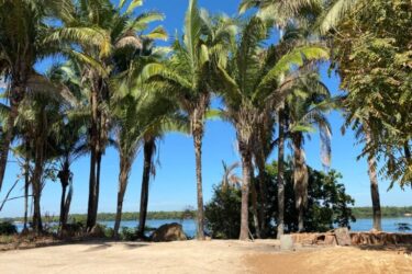 Comunidade quilombola Ilha de São Vicente, em Araguatins (TO), aguarda conclusão de processo de regularização territorial; conheça a história do quilombo